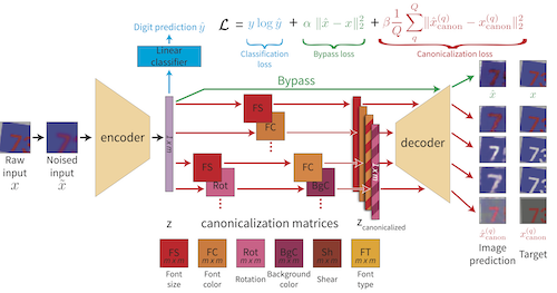 Representation Learning Through Latent Canonicalizations