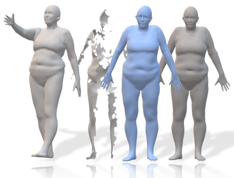 Towards precise completion of deformable shapes